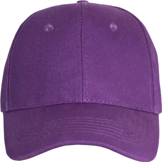FWRD Promo 6 Panel Cap Purple Front